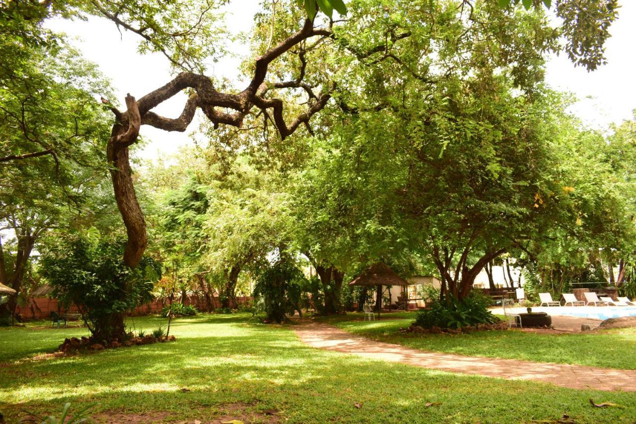 Shoestrings Backpackers Lodge Vic Falls Водопад Виктория Экстерьер фото